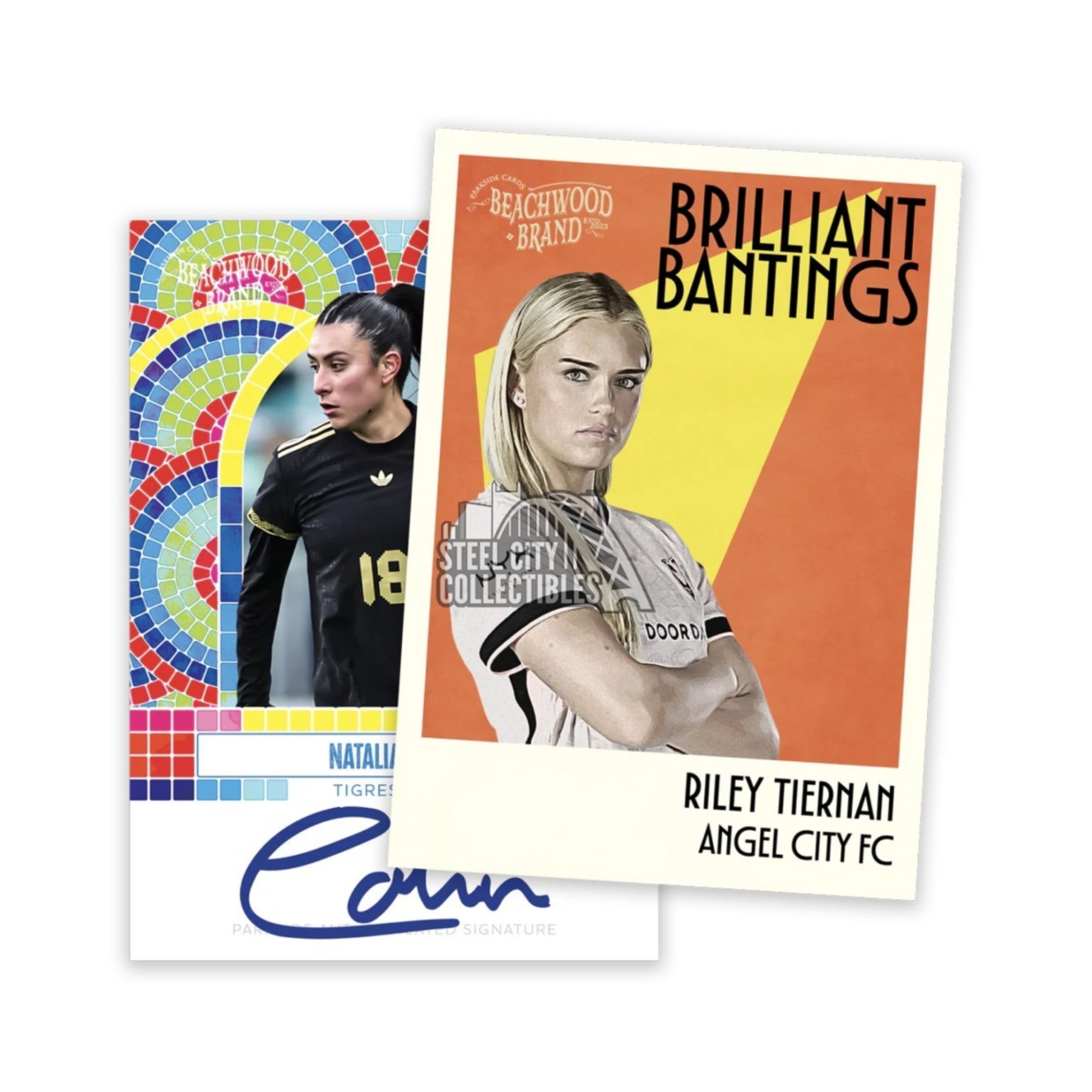 2025 Parkside Beachwood 25Ct. Hanger Box