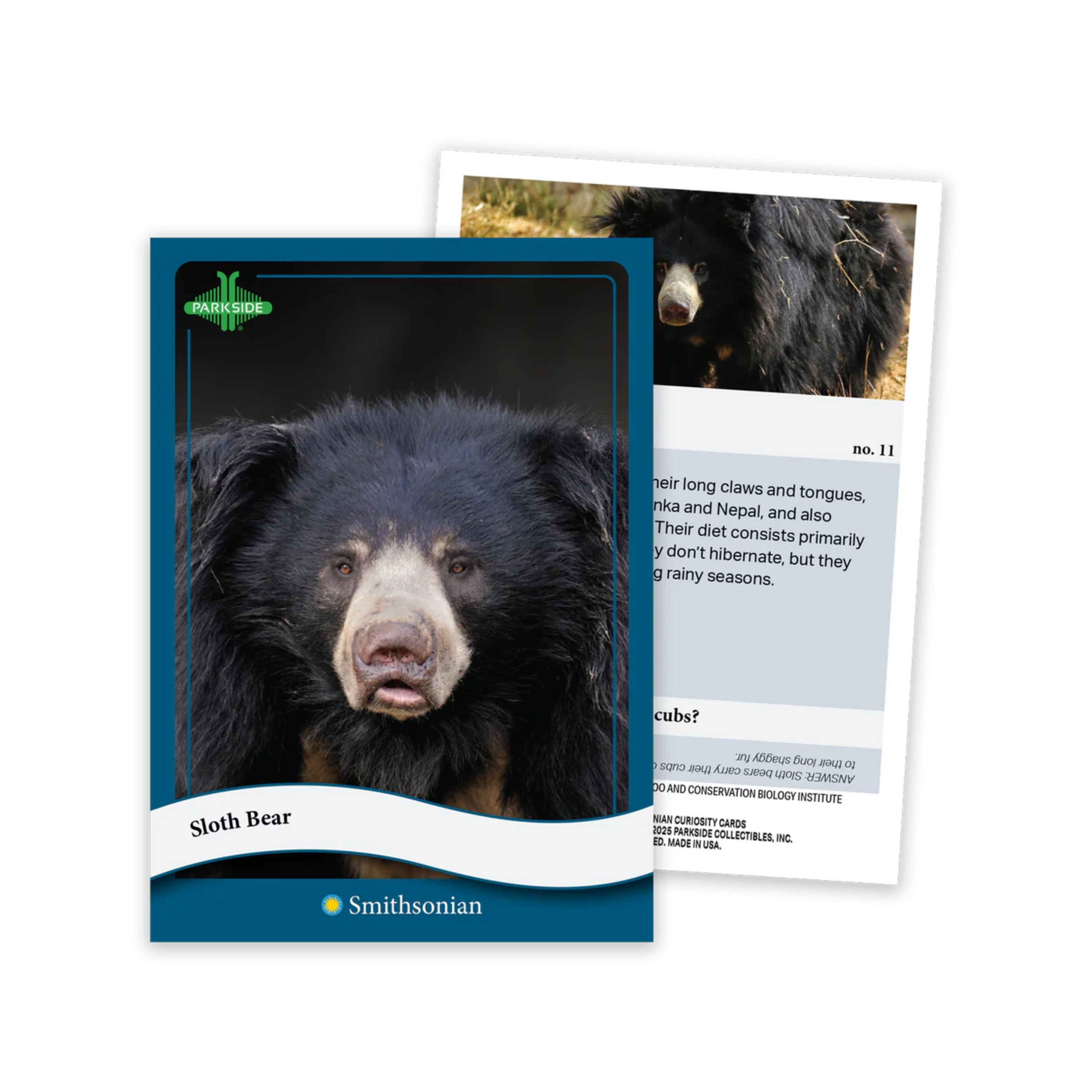 Animal Kingdom Parkside Smithsonian Curiosity Cards 50Ct. Box Set - 1st Edition