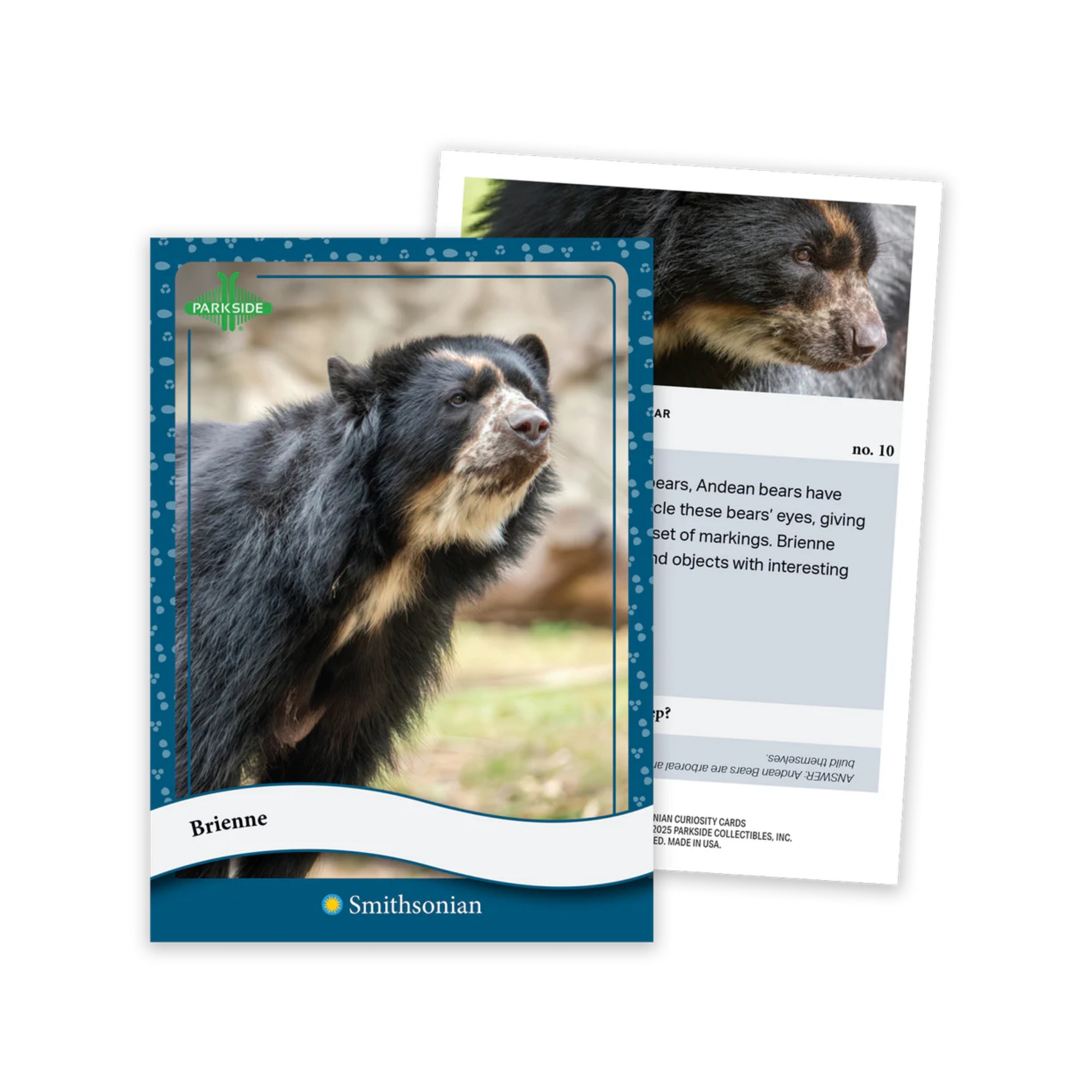 Animal Kingdom Parkside Smithsonian Curiosity Cards 50Ct. Box Set - 1st Edition