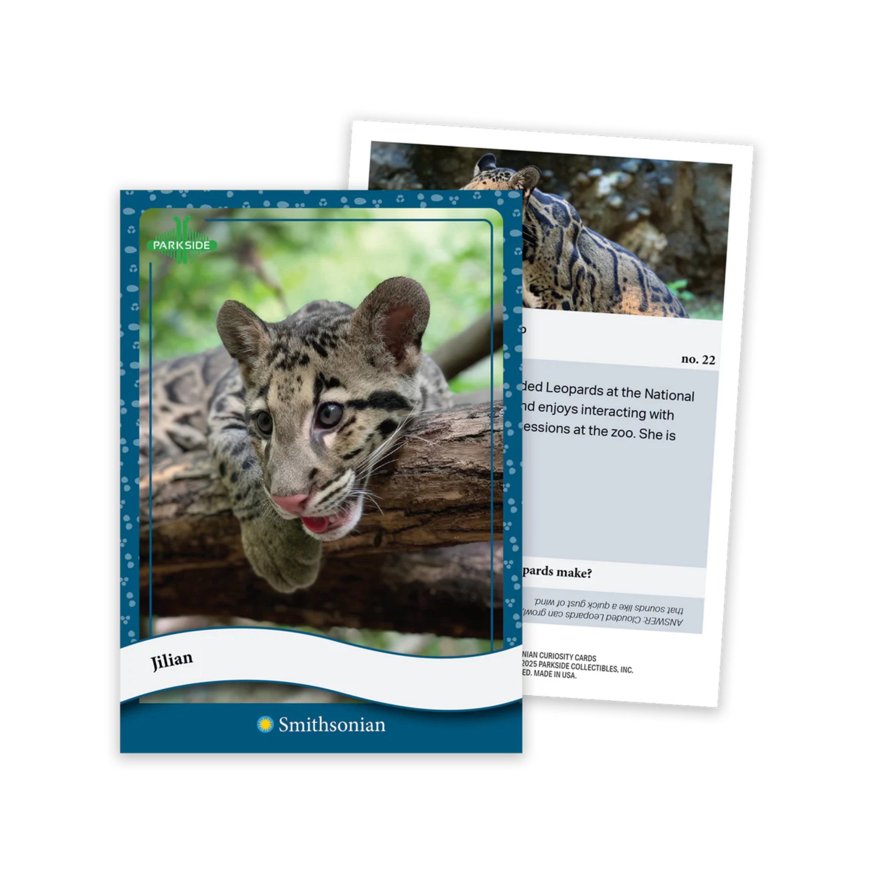 Animal Kingdom Parkside Smithsonian Curiosity Cards 50Ct. Box Set - 1st Edition