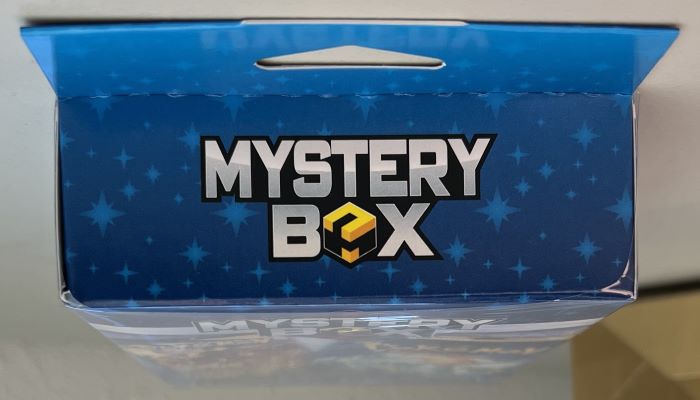 Pokemon Mystery Hanger Box 4 MJH Exclusive