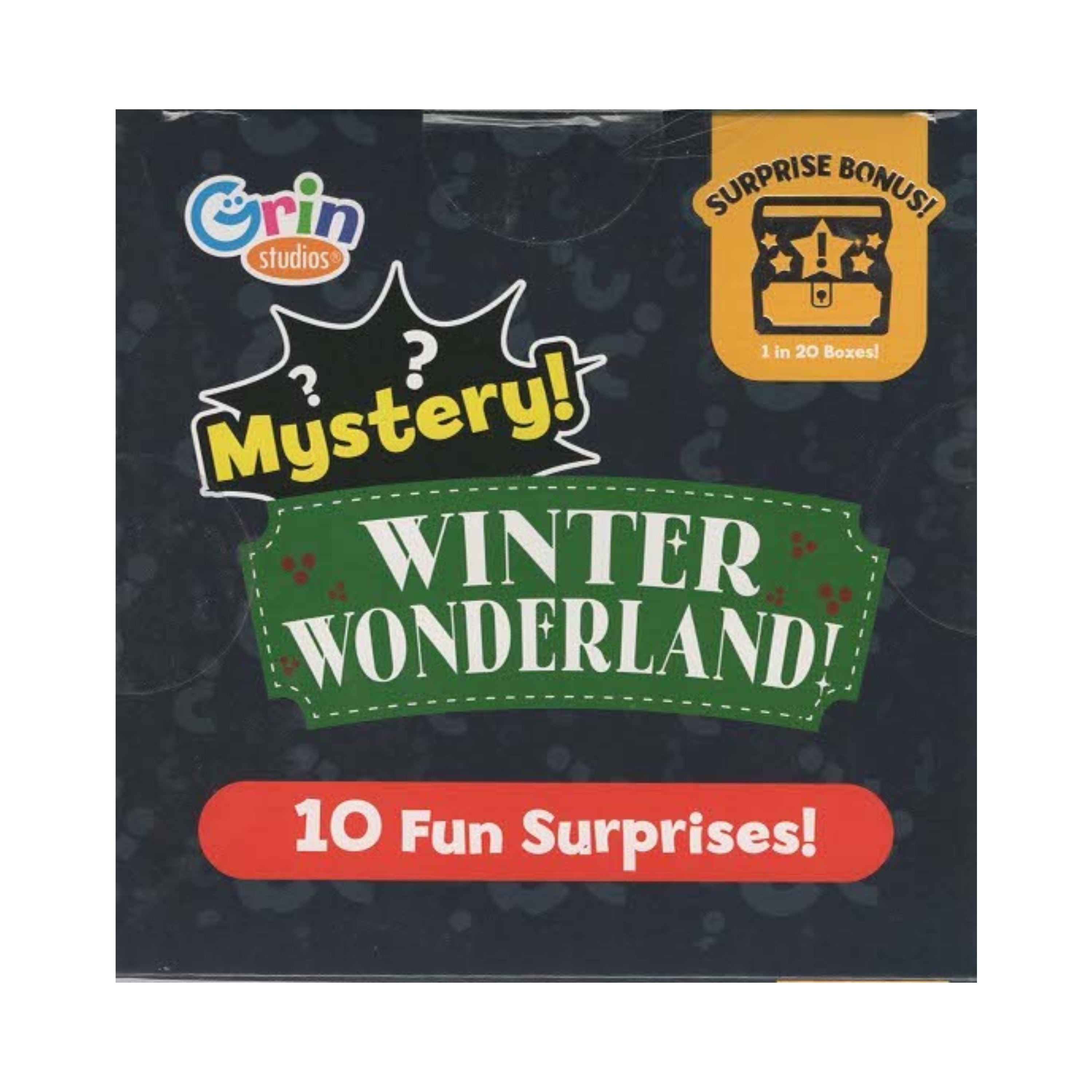 Grin Studios Winter Wonderland Mystery Toy Box
