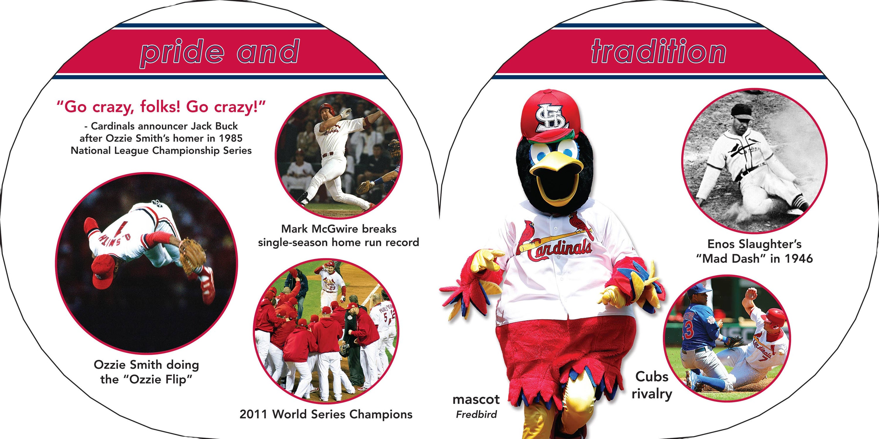 St. Louis Cardinals 101
